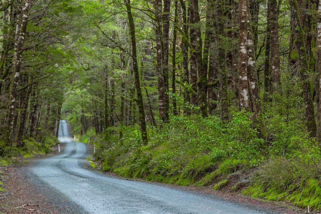 Palmer Road, Kapuni, South Taranaki, 0 રૂમ, 1 બાથરૂમ