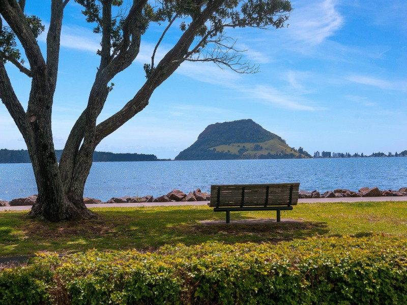 65 Beach Road, Otumoetai, Tauranga, 3房, 0浴