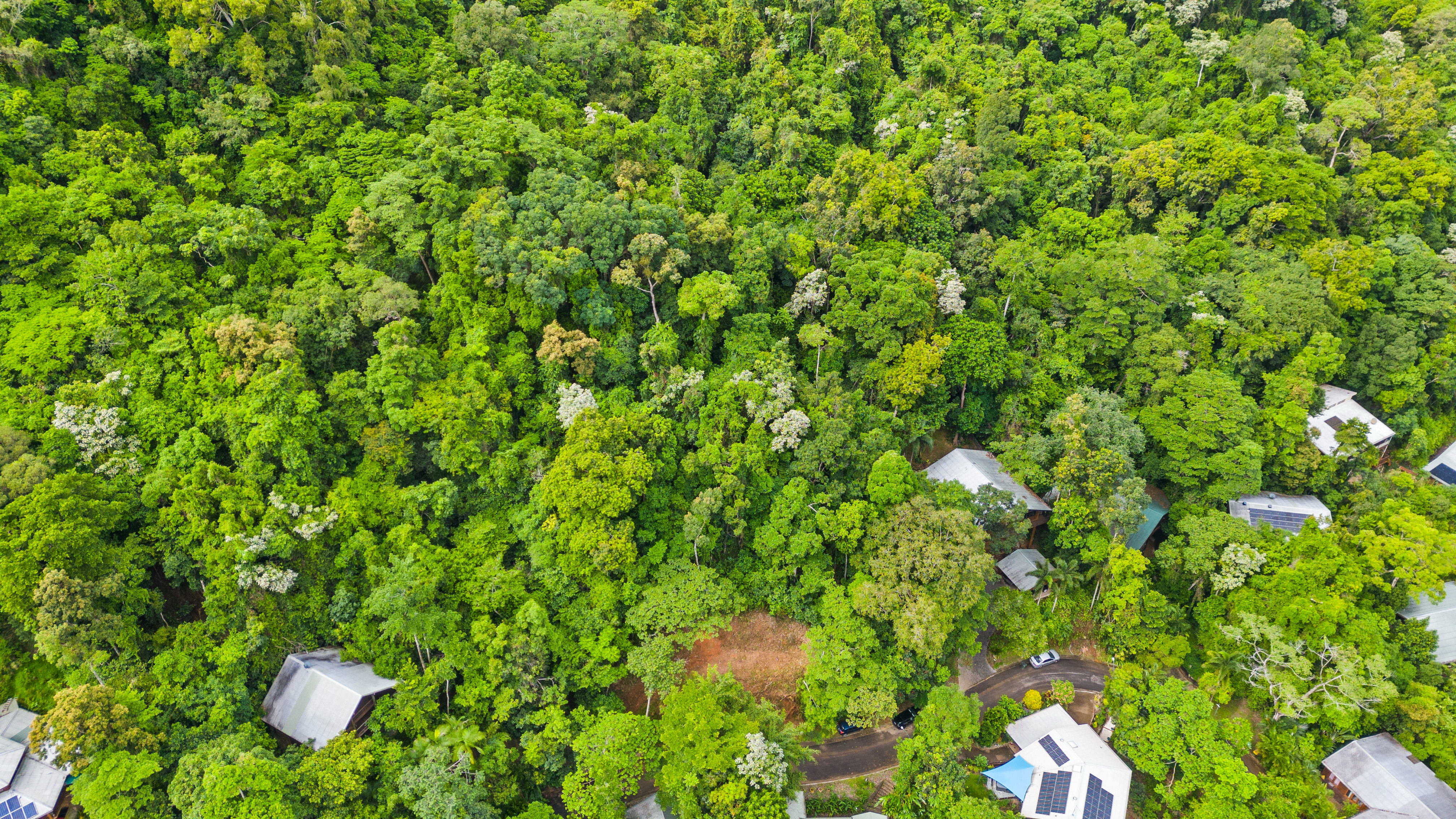 6 CANANGA CL, KAMERUNGA QLD 4870, 0 rūma, 0 rūma horoi, Section