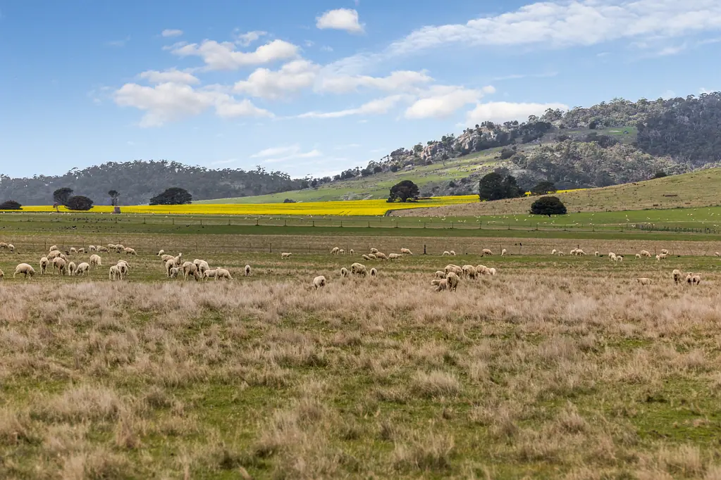 630 Waubra-Talbot Road, Evansford, VIC 3371
