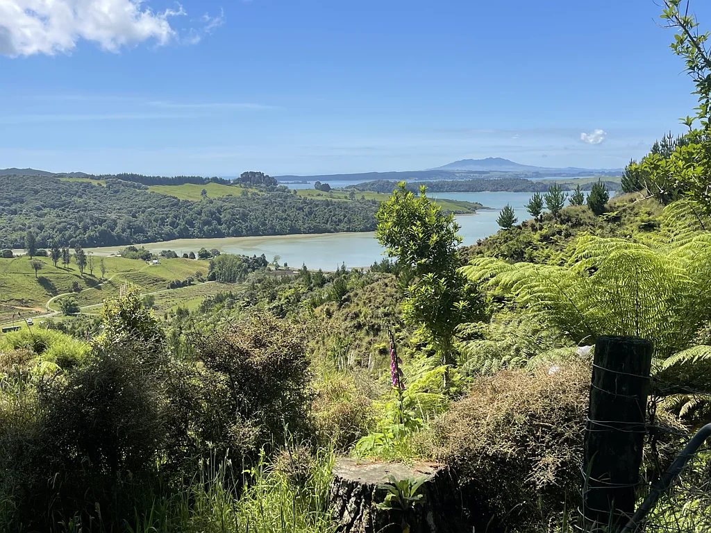 Kawhia For those with an Eye for Potential