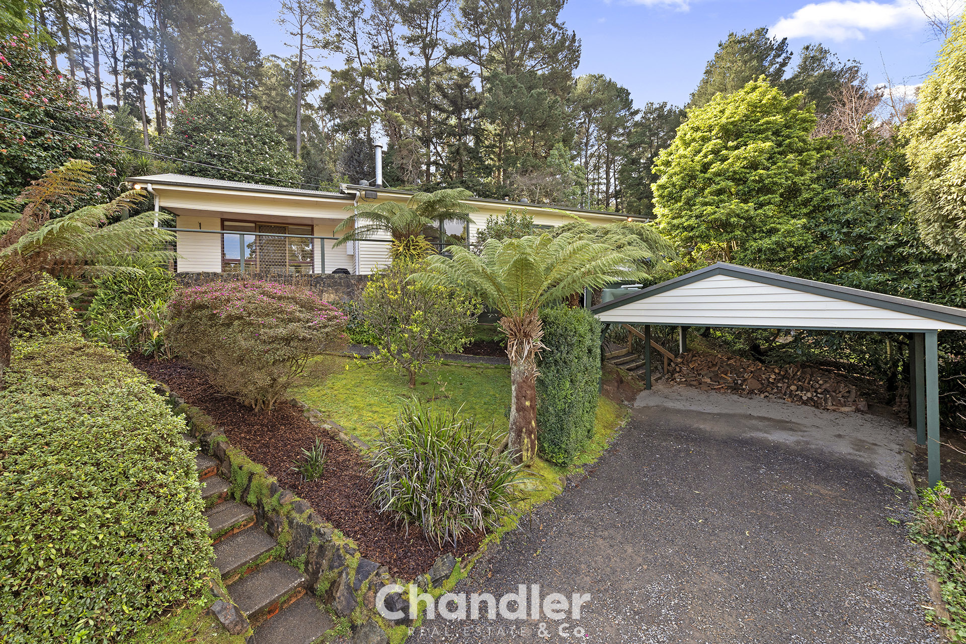 29 BLACKWOOD ST, TECOMA VIC 3160, 0 غرف, 0 حمامات, House