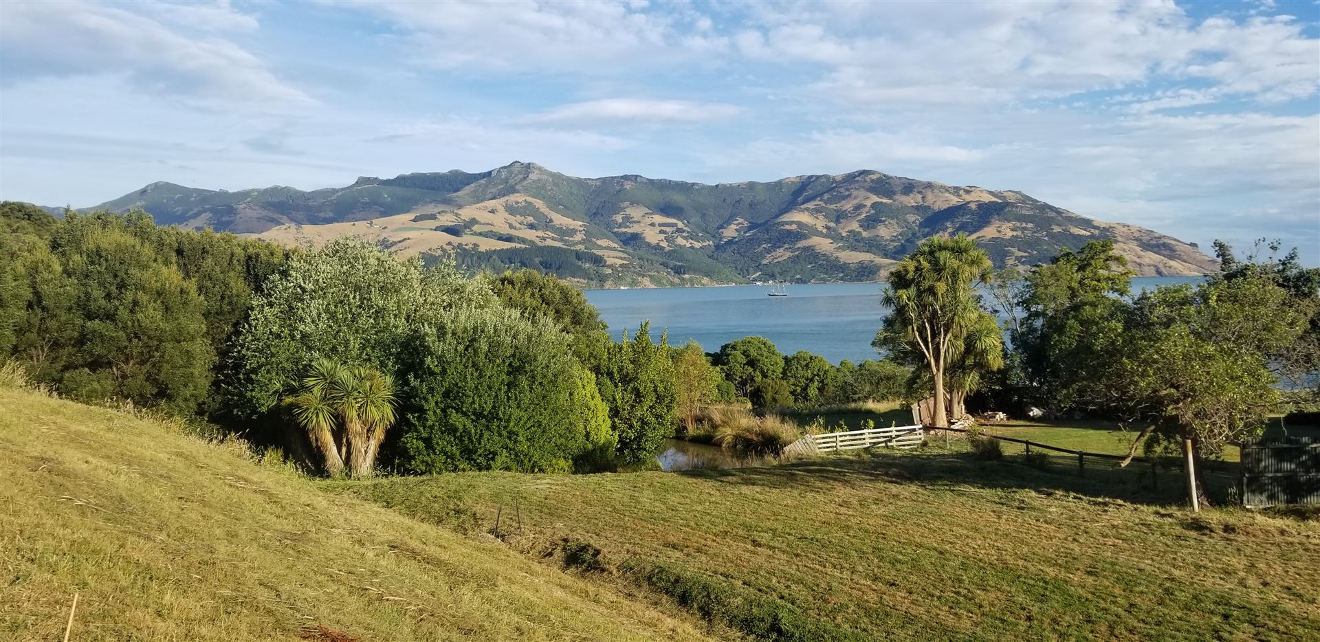 Residential Banks Peninsula