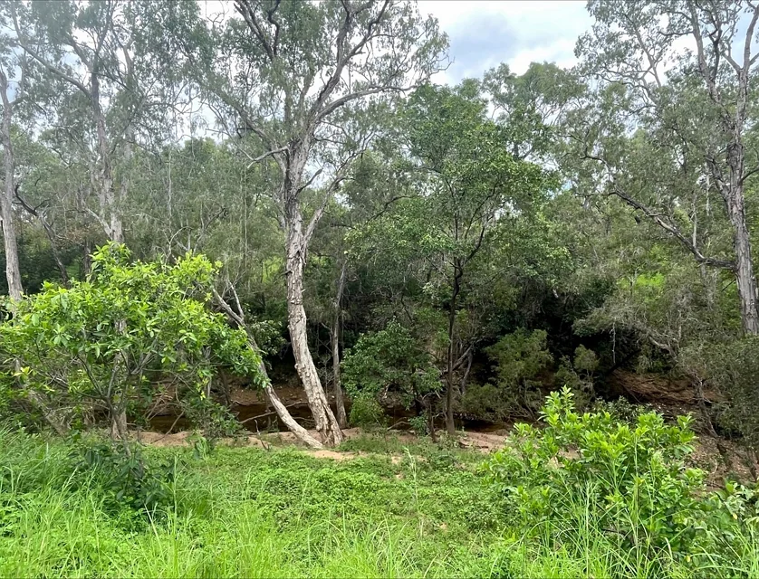 Lot 22 Peninsula Developmental Rd., Lakeland, Far North, 1 Schlafzimmer, 1 Badezimmer, Lifestyle Property