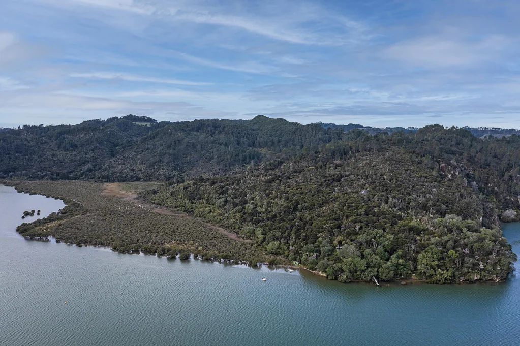 Cooks Beach On the edge of the Whitianga Harbour