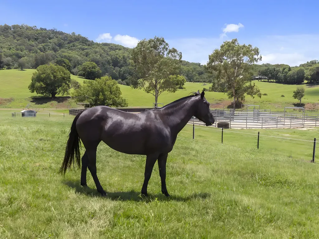 32 Kellys Road, Eungella, NSW 2484