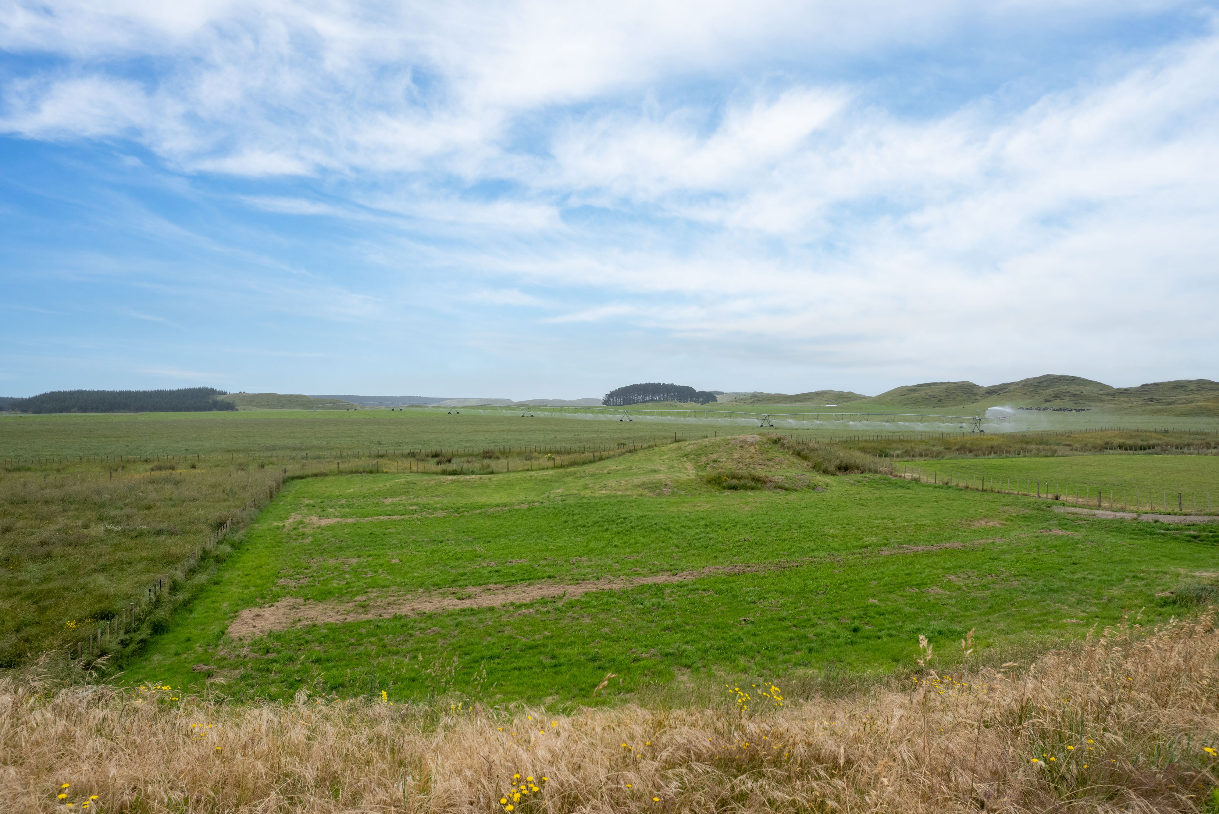 21 Truebridge Drive, Waitarere, Horowhenua, 0 phòng ngủ, 0 phòng tắm, Section