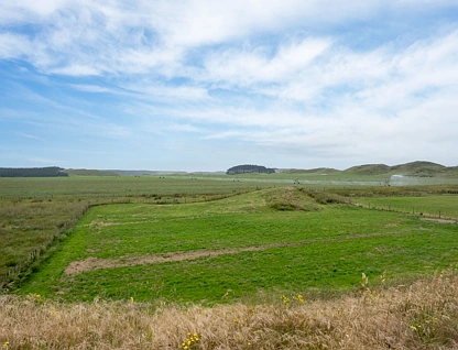 21 Truebridge Drive, Waitarere Beach, Horowhenua, Manawatu-Wanganui, 0房, 0浴, Section