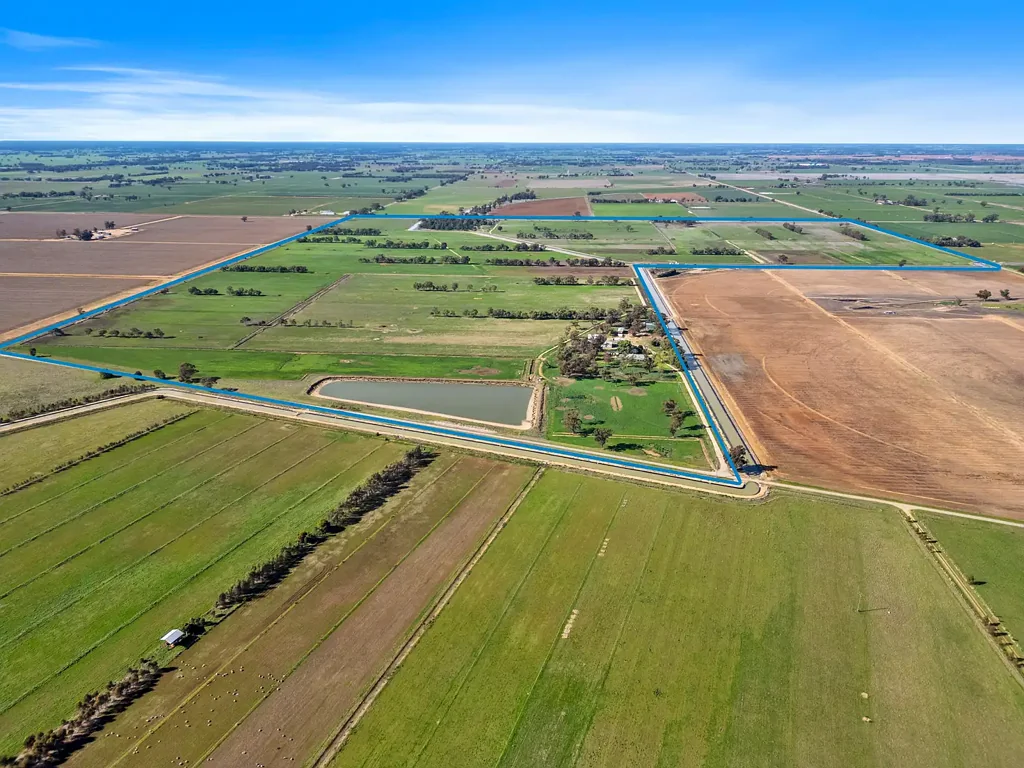 Yalca  FOR SALE                                                     PREMIER IRRIGATION PROPERTY