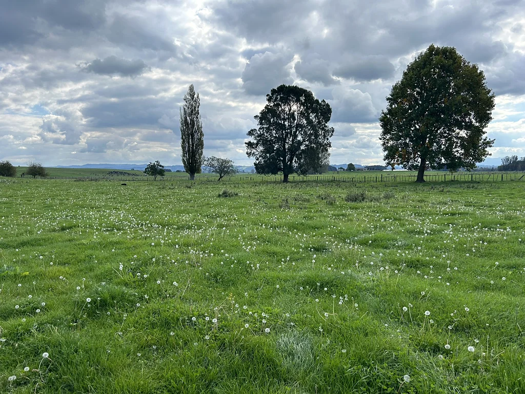 Otorohanga  Rural and affordable lifestyle section