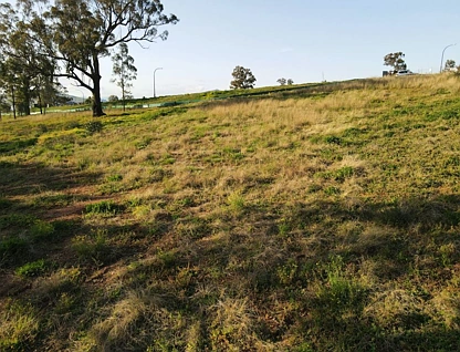 13 Sunline Street, Muswellbrook, Hunter, 0房, 0浴, Section