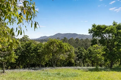 Valla 11.8 Acres to build your dream home