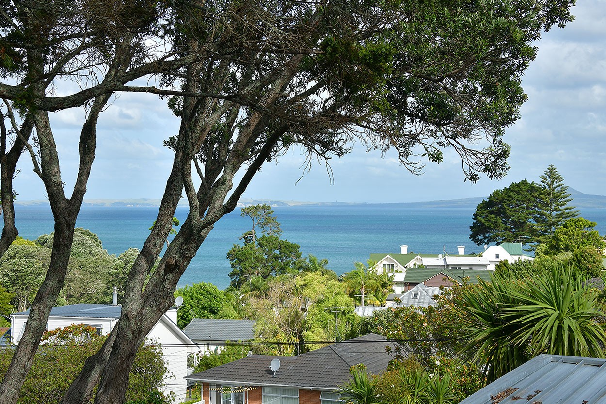 Residential  Mixed Housing Suburban Zone