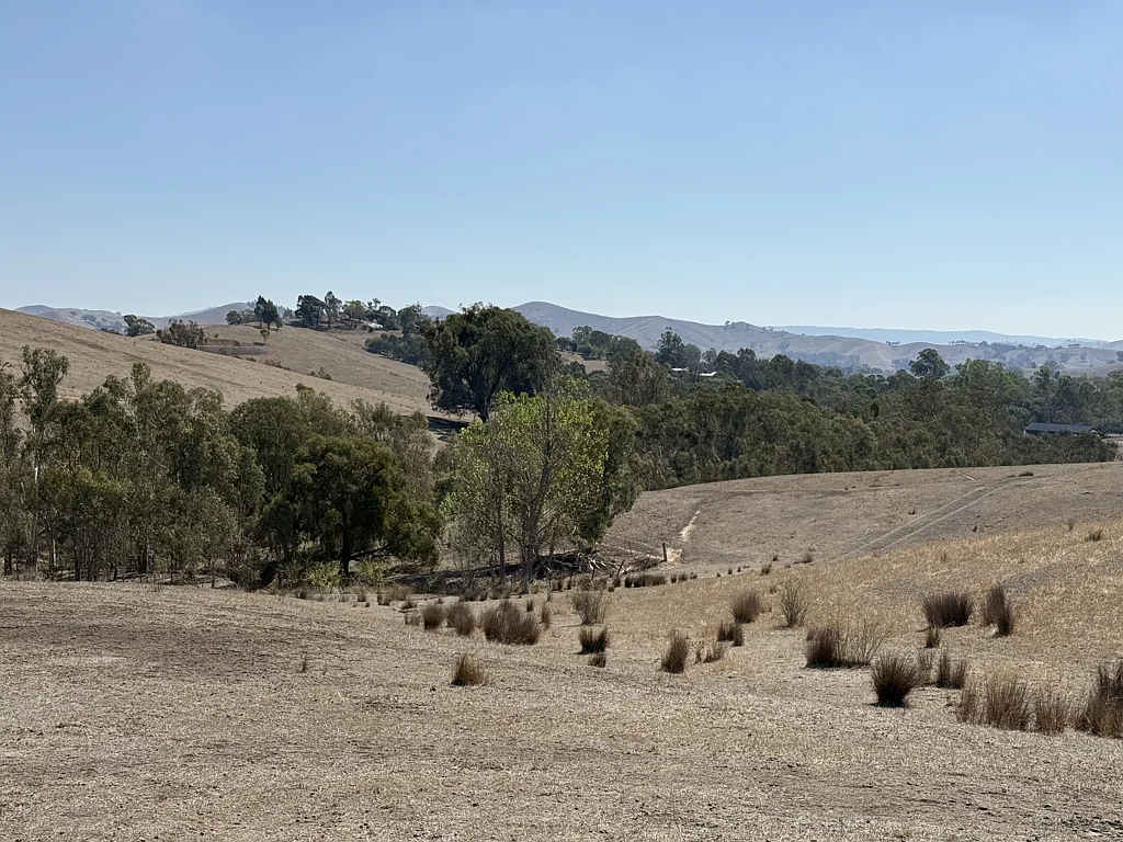 Alexandra Grazing Property with Development Potential