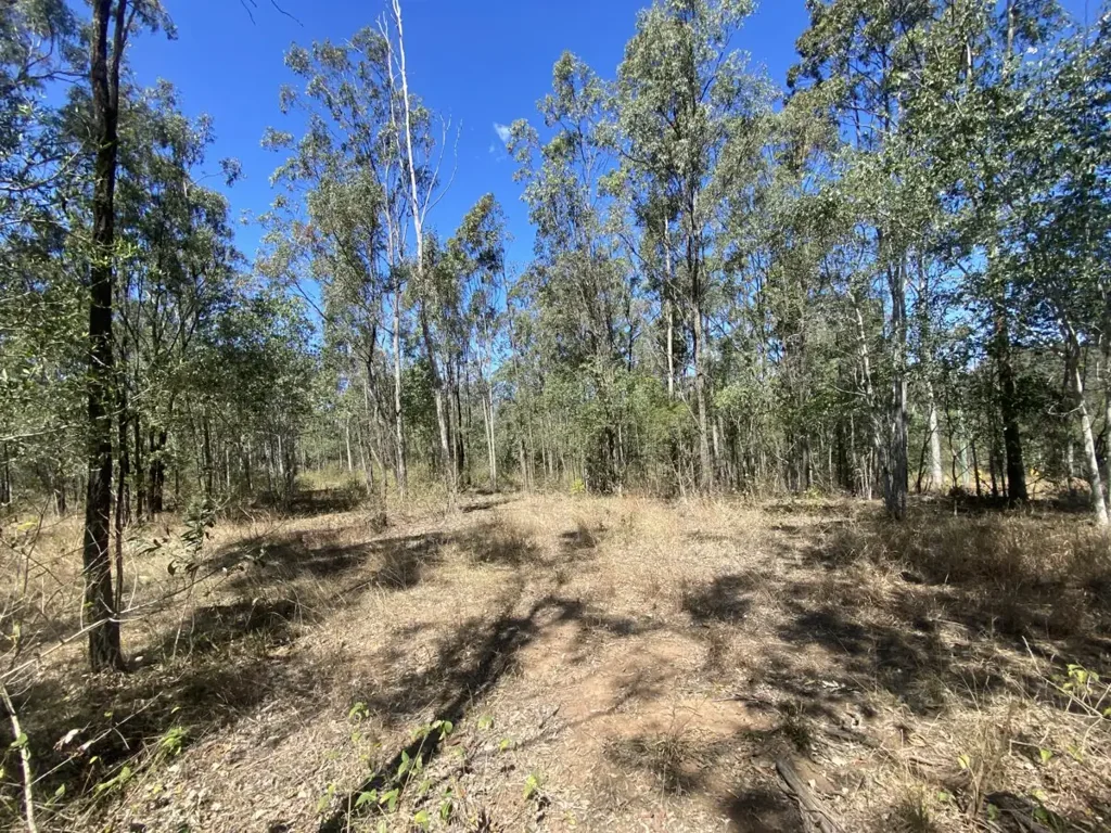 Gatton  "Blissful" 5 acre Nature block in Gatton