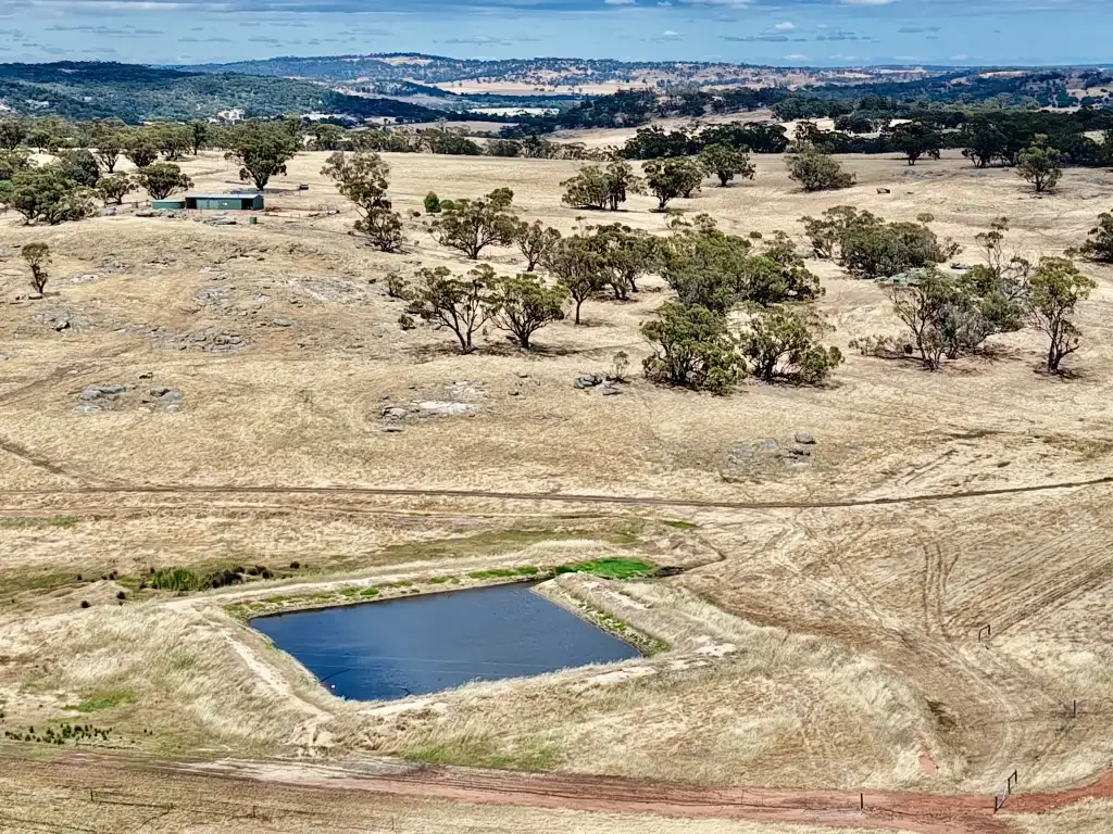 Dale "Your Peaceful Dale Escape – Space, Scenery & Serenity on 40ha"