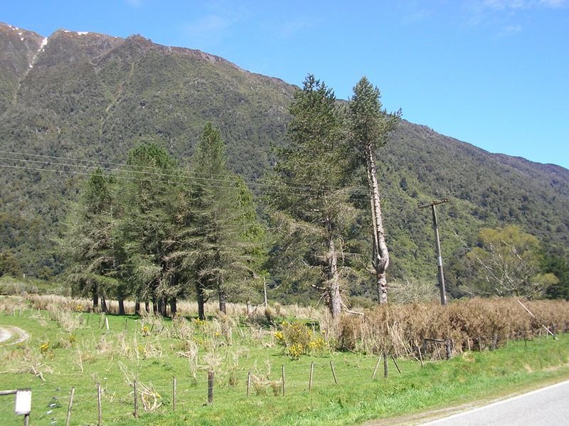 South Highway 73 Wainihinihi Shwy, Hokitika, Westland, 0 Schlafzimmer, 1 Badezimmer