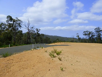 181 Silver Top Crescent, NULLICA Via, Eden, NSW 2551, 0 slaapkamers, 0 badkamers, Section