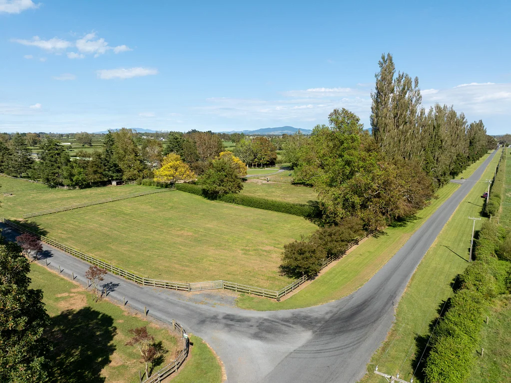 Matamata  The dream starts here!