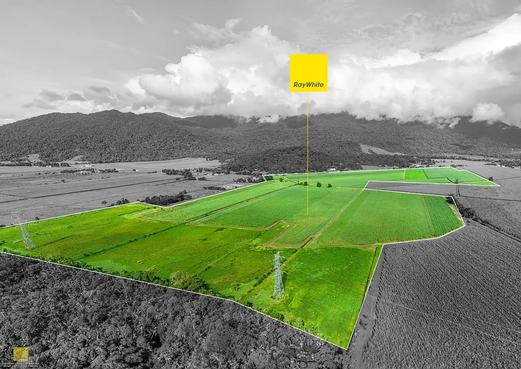 Bellenden Ker 188 Acres of Opportunity - Purchase as One Expansive Holding or Four Individual Lots