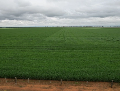 C/A 12 & 13 Elmore-Mitiamo Road, Milloo, Bendigo, 0房, 0浴, Lifestyle Property