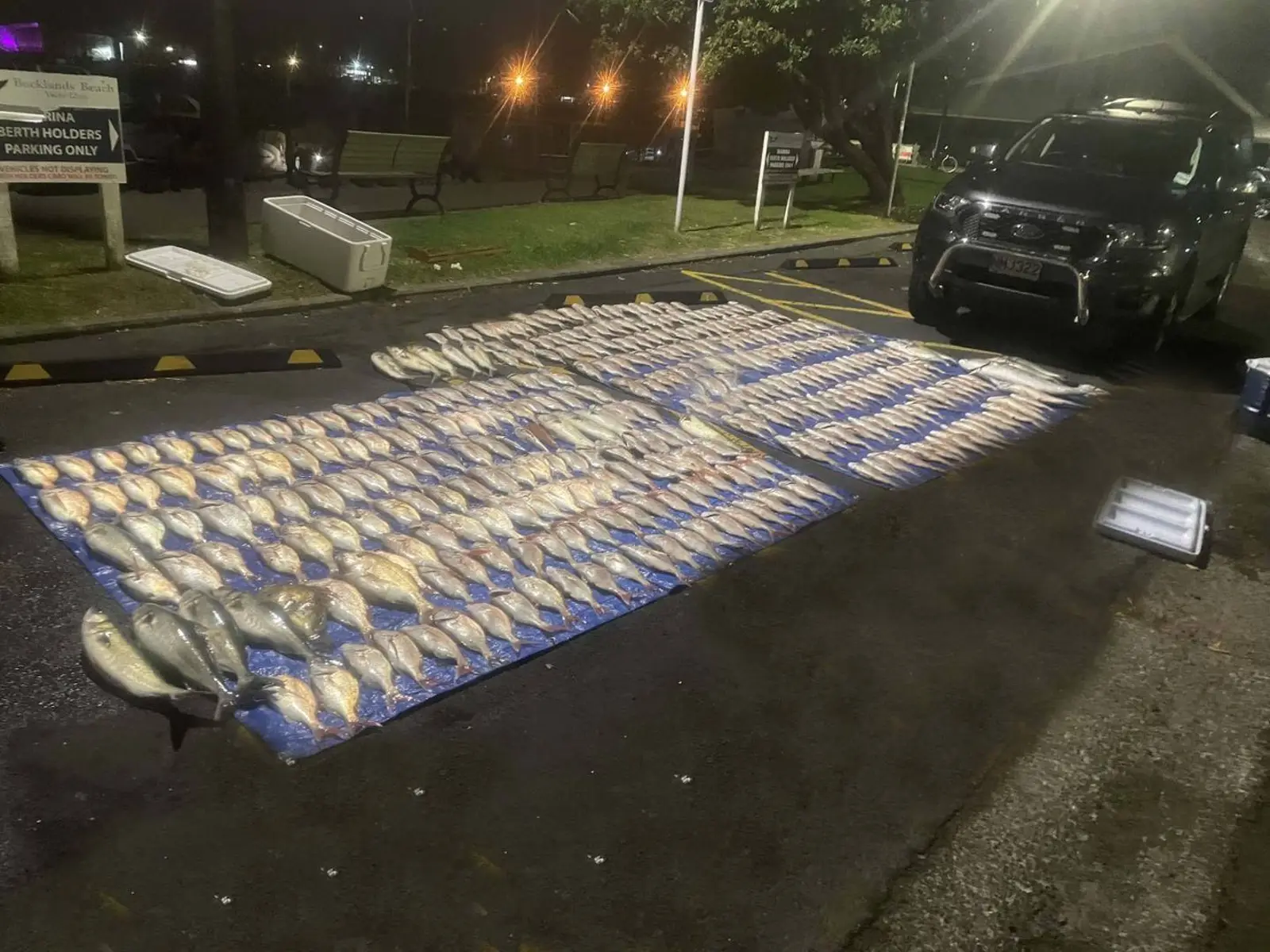惊呆!奥克兰狠人狂捞200公斤海鲜,结果悲剧了