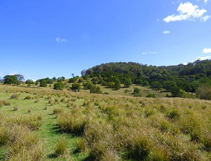 1215 Nethercote Rd, Nethercote, South Coast, 3 침실, 1 욕실, Lifestyle Property