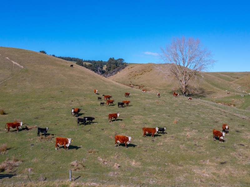 370 Gore Bay Road, Gore Bay, Hurunui, 0房, 0浴