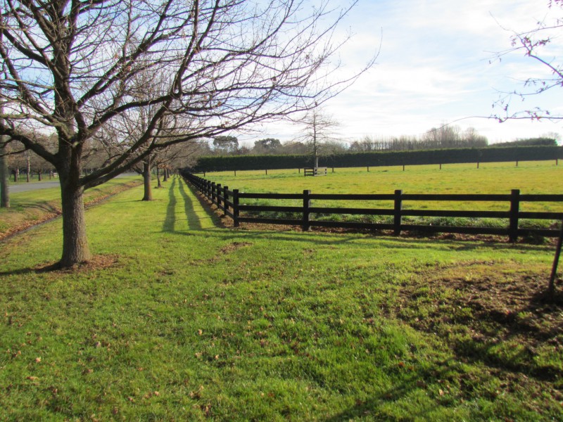 254 Mill Road, Ohoka, Waimakariri, 4部屋, 0バスルーム