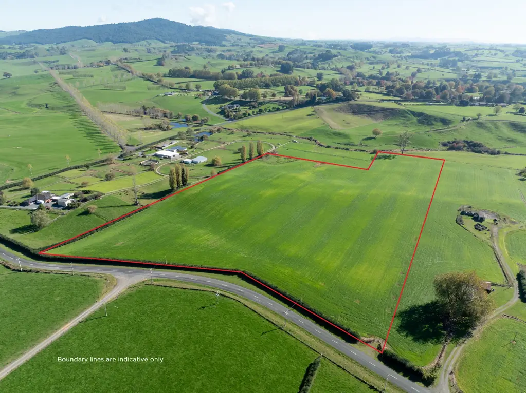 Matamata Larger lifestyle, horses or harvest