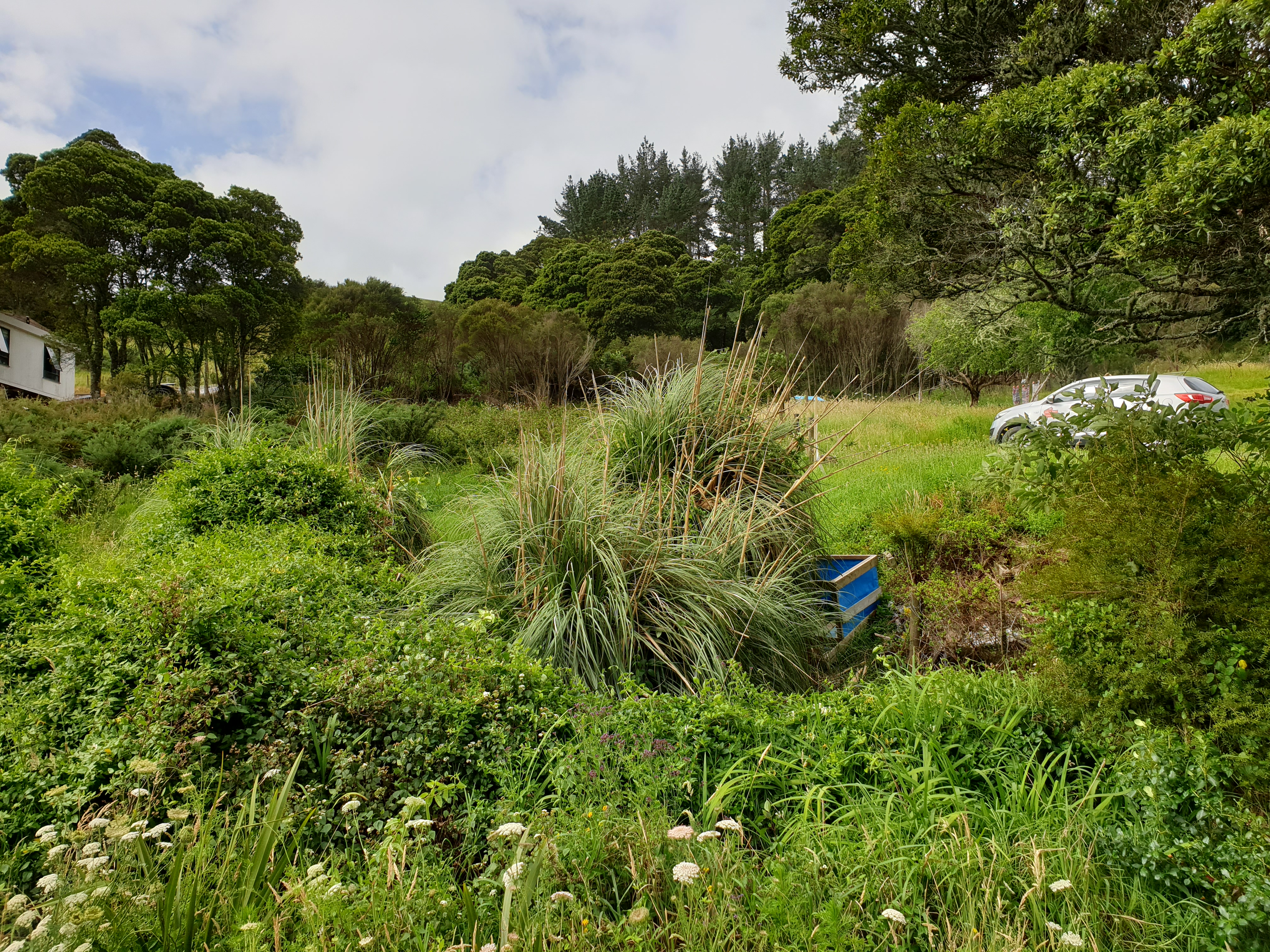 State Highway 1, Towai, Far North, 0 ห้องนอน, 1 ห้องน้ำ