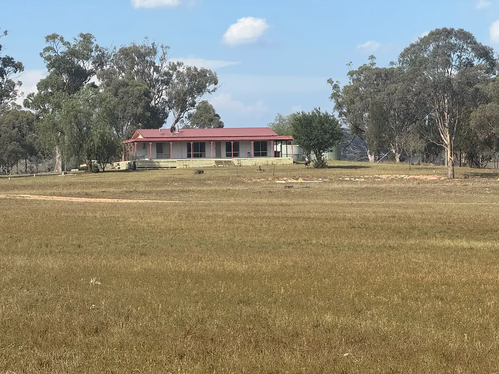 Jerrys Plains  Lifestyle Property with 2 x Large Homes!