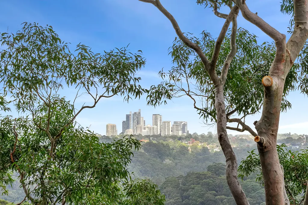 Forestville 5Moenga ELEVATED FAMILY LIVING WITH PANORAMIC VIEWS