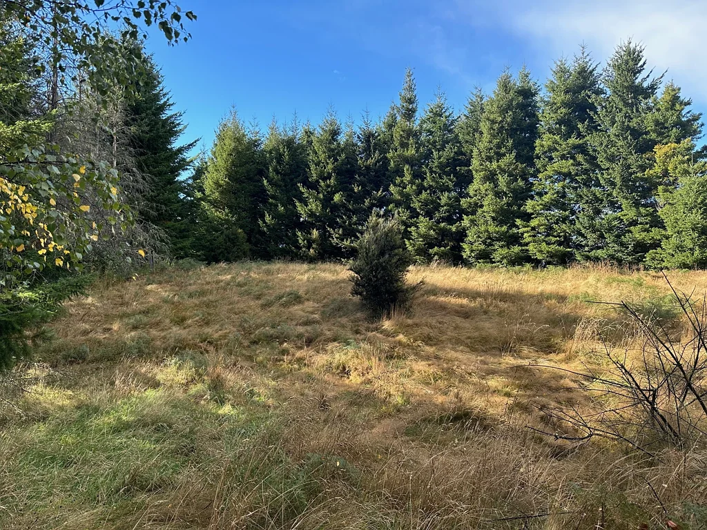 Lyford  Nature's Retreat