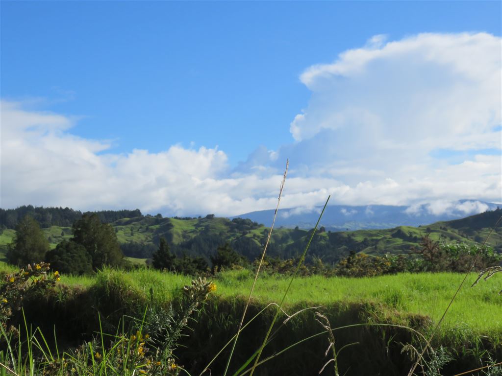 Rakautapu Road, Kohukohu, Far North, 0 chambres, 1 salles de bain