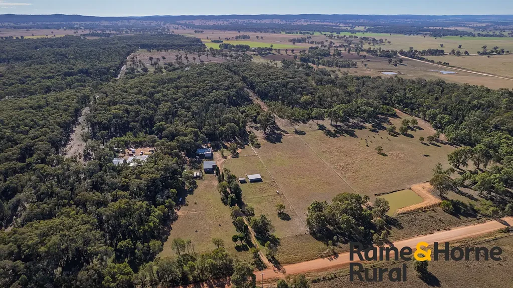 Dunedoo Private Bushland Retreat with Potential