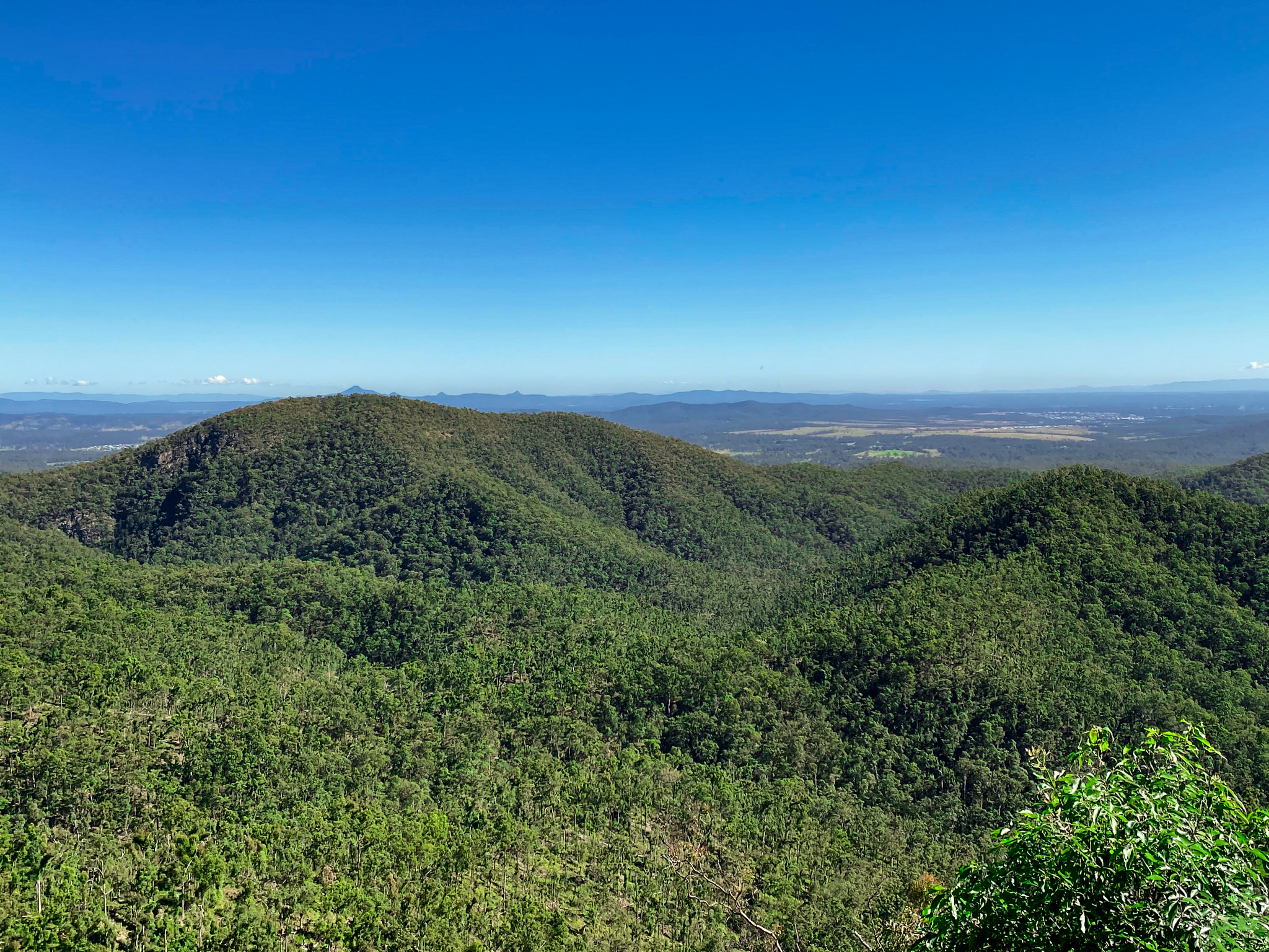 1634 TAMBORINE - OXENFORD RD, WONGAWALLAN QLD 4210, 0房, 0浴, Section