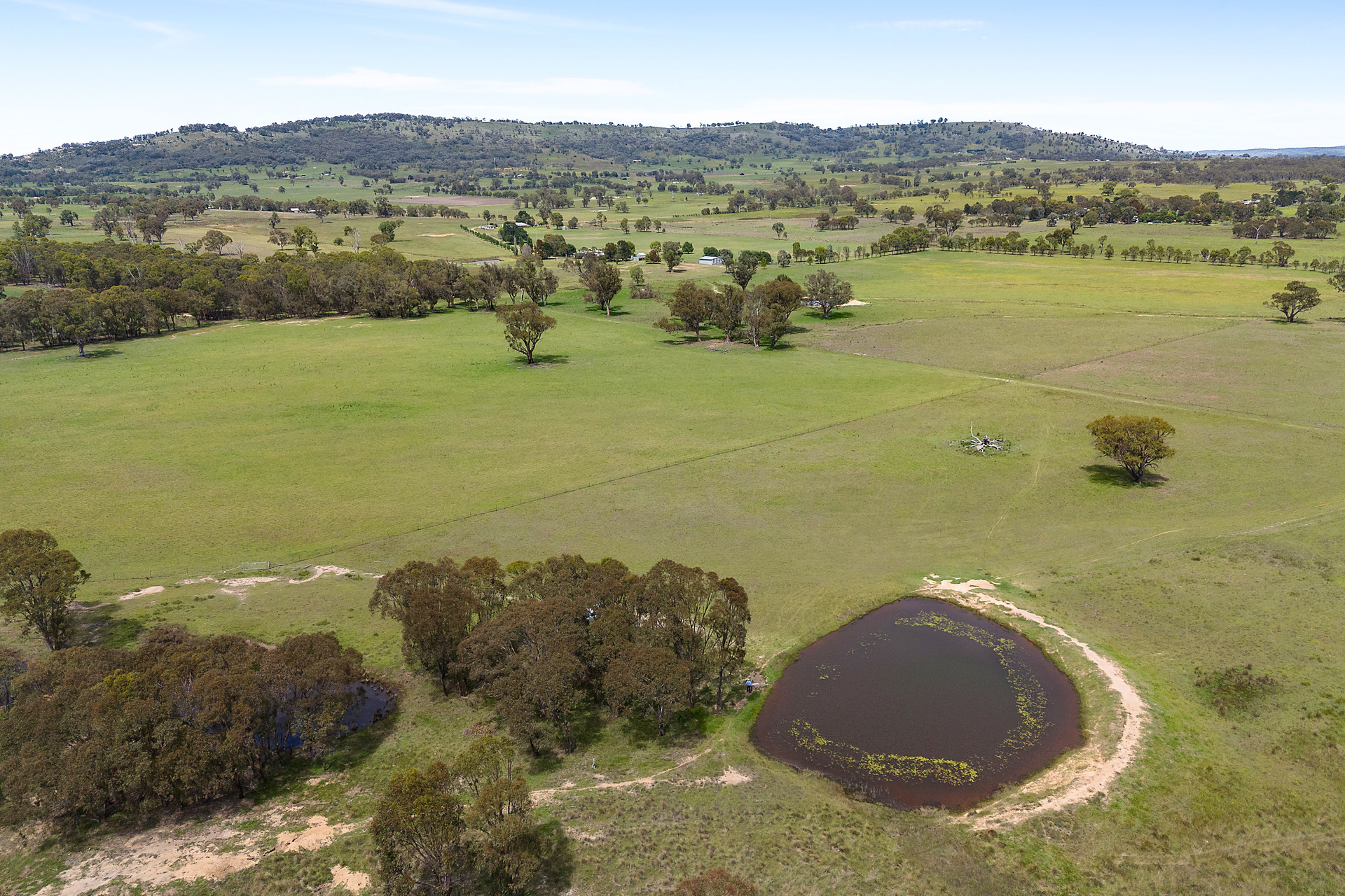 DRAYTON 214 PYANGLE RD, CAMBOON NSW 2849, 0 habitaciones, 0 baños, Lifestyle Property