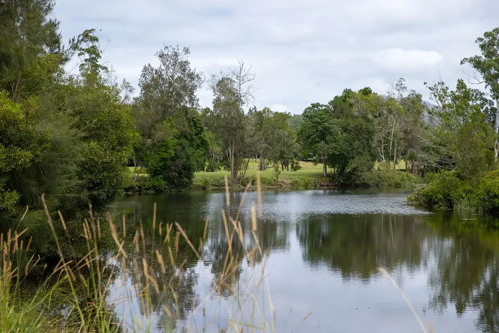 Bellingen 'Riverside' Bellingen