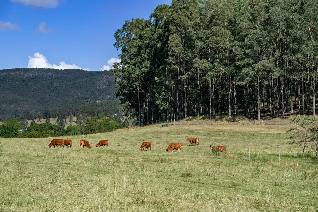 Moy Pocket "Spiller Road Farm" 227 Acres with Over 1km of Mary River Frontage - Make It Yours