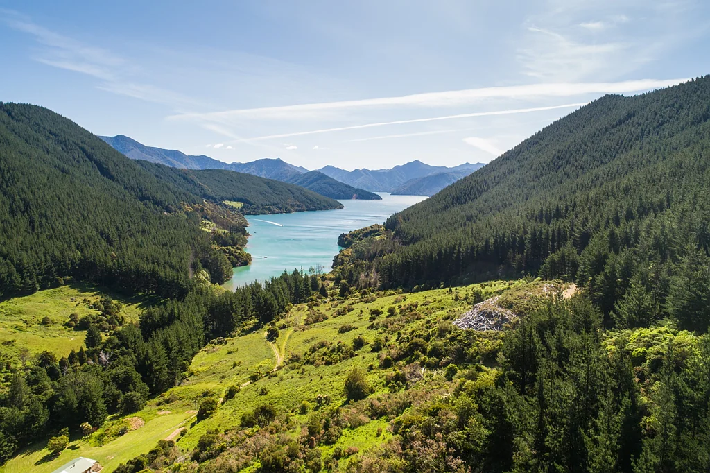 Kenepuru Sound Secluded Lifestyle and Forest