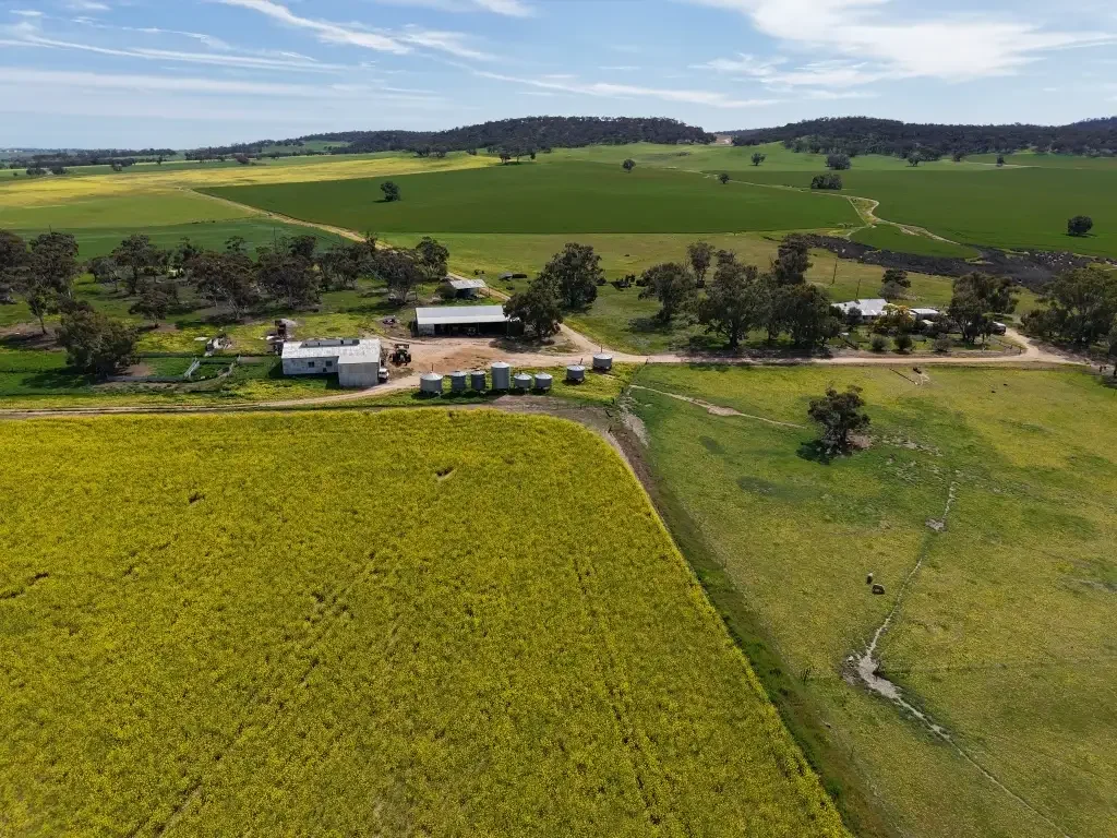 Greenhills Glenmore Farm, Greenhills       733ha (1810acres)