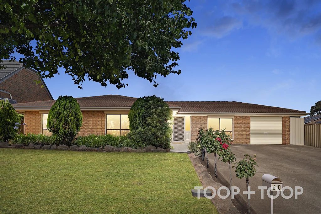 60 Carruthers Drive, Modbury North, SA 5092