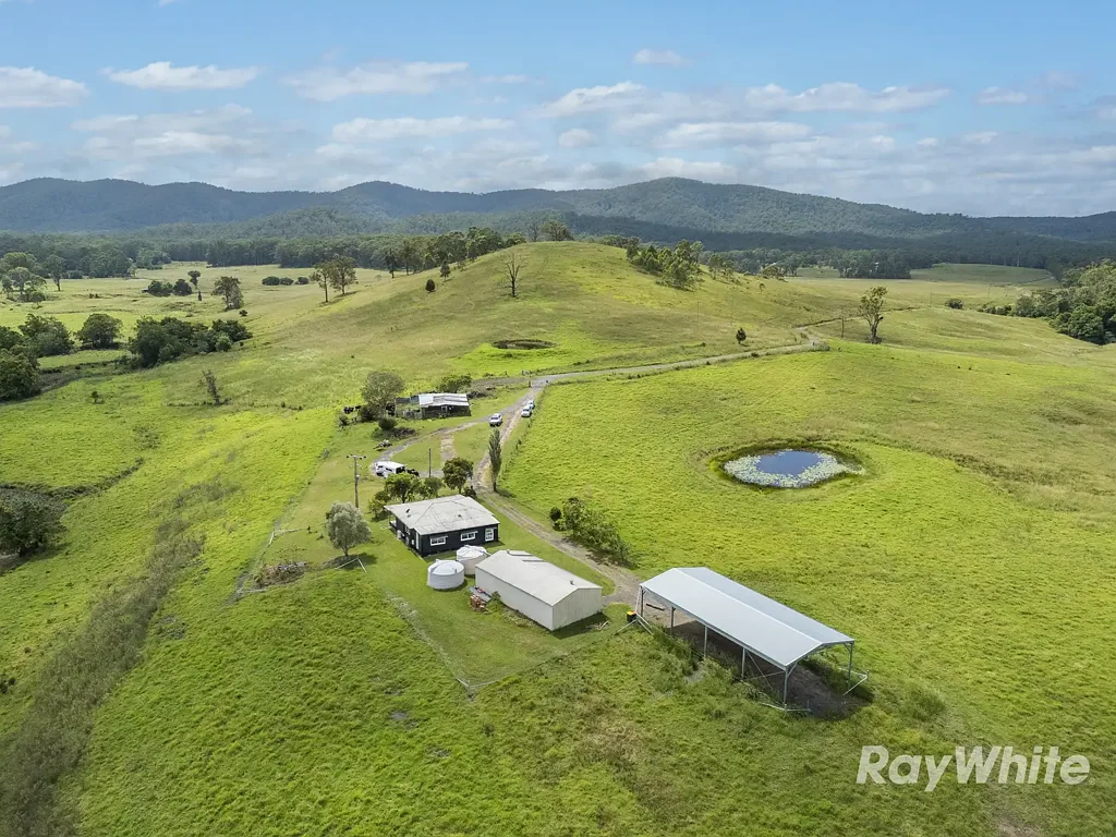 Bulahdelah Productive Cattle Country