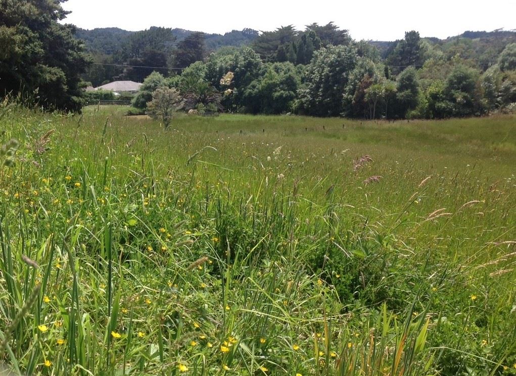 1233 Weranui Road, Wainui, Auckland - Rodney, 5 chambres, 3 salles de bain