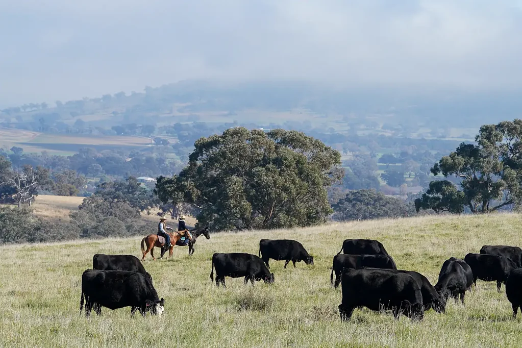 'Bunyarra Range' 60 Bunyarra Lane, Orange, NSW 2800