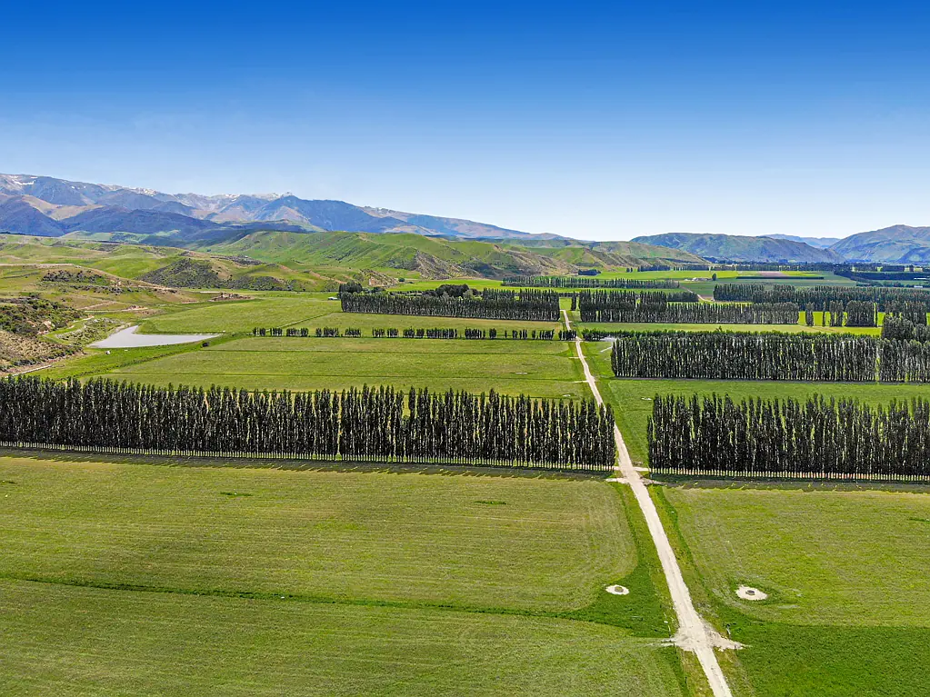 Kurow  Outstanding irrigated grazing block