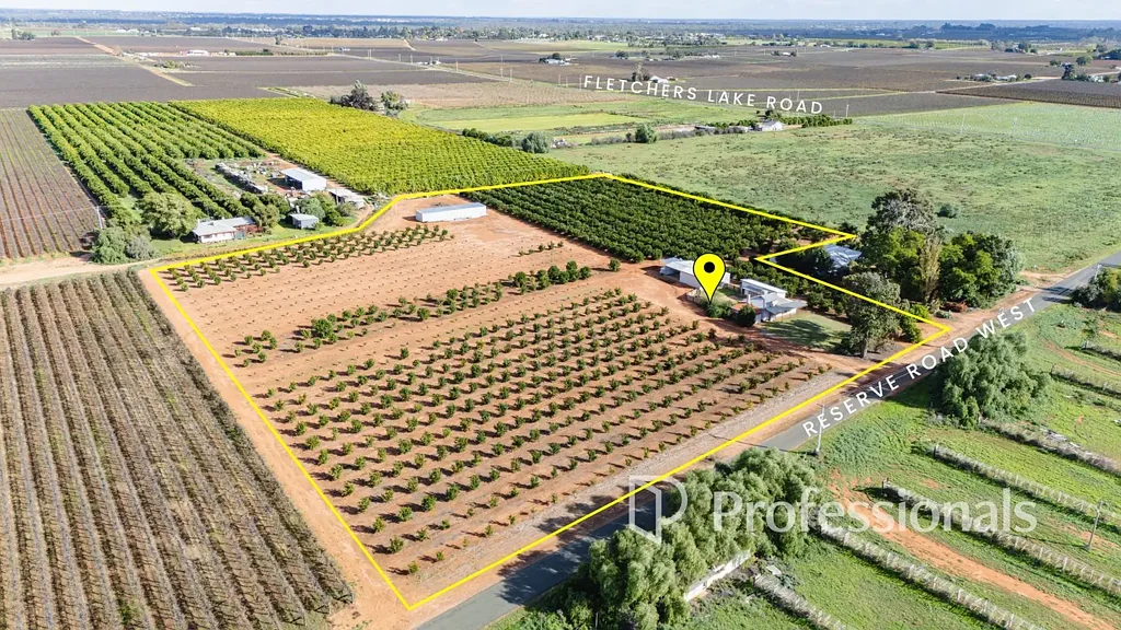 Coomealla Productive Rural Lifestyle with Established Mandarins