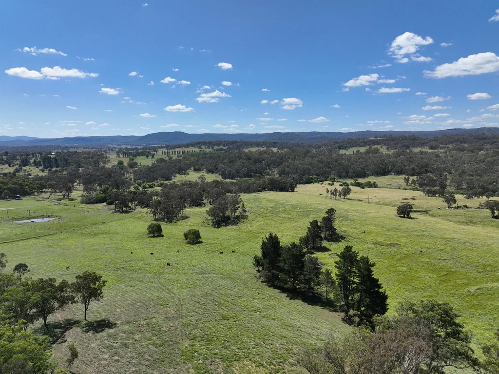 409 Mount Lindesay Road, Tenterfield, NSW 2372