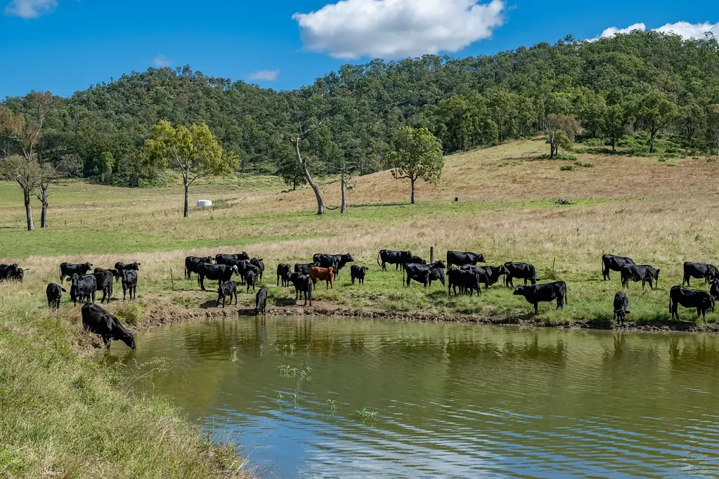 1942-1958 Esk Crows Nest Road, Biarra, QLD 4313